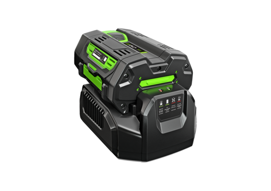 CH2100E
CHARGEUR STANDARD