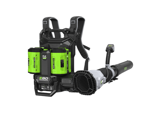 LBP8000E
SOUFFLEUR DORSAL