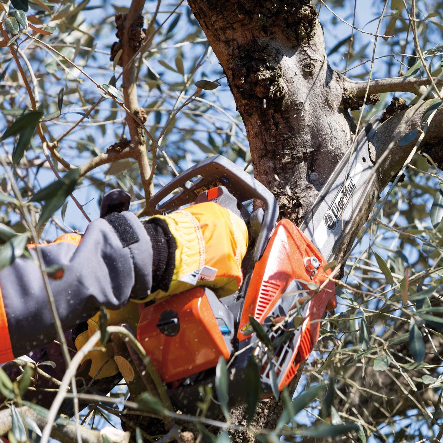 GST 250 - ARG Motoculture services