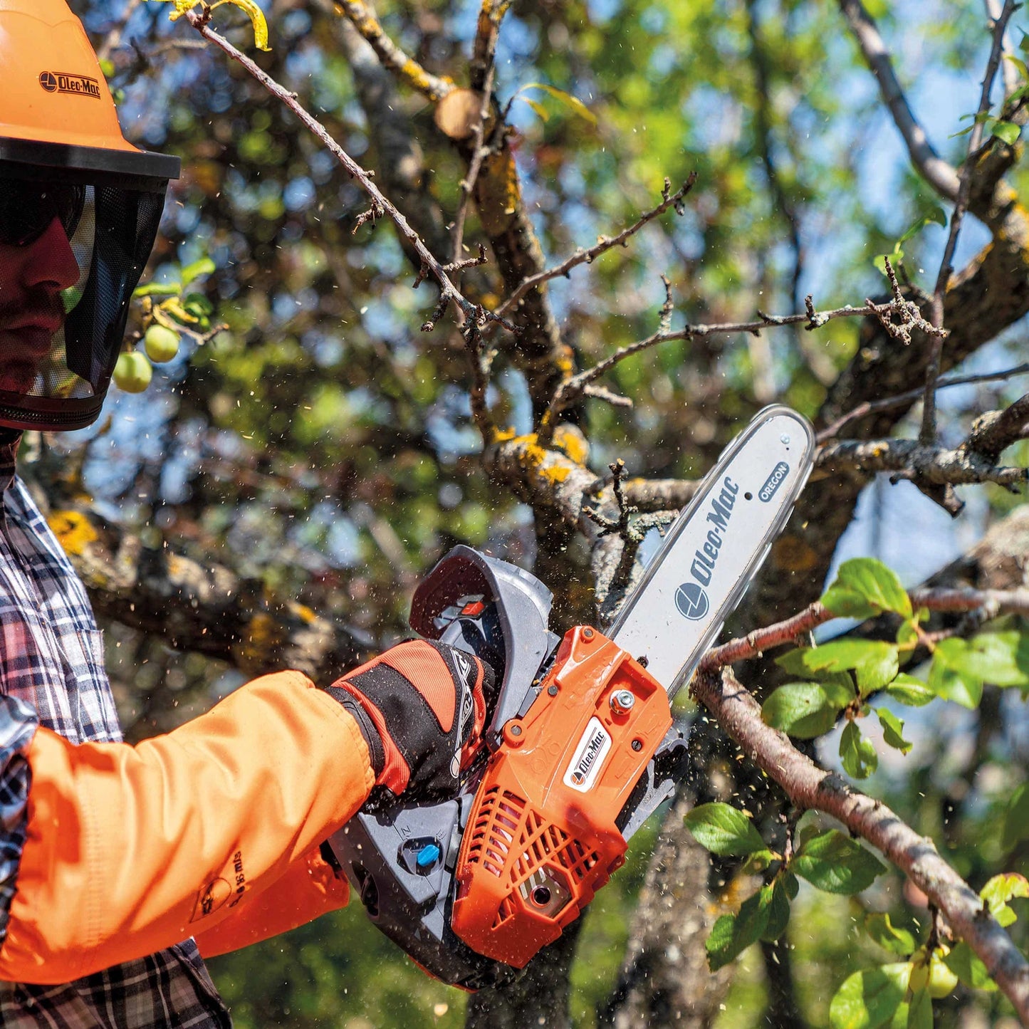 GSTH 240 - ARG Motoculture services