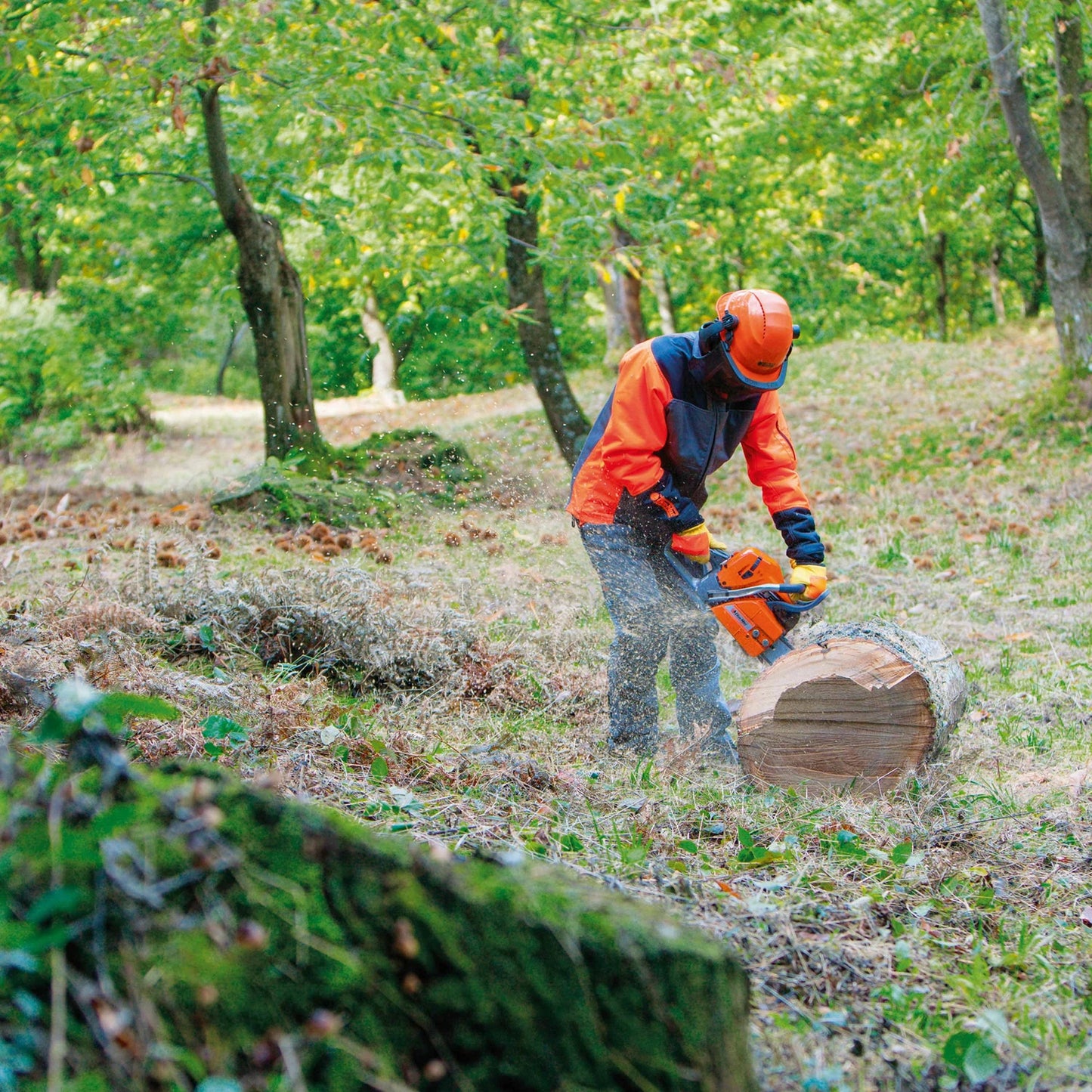 GS 651 - ARG Motoculture services