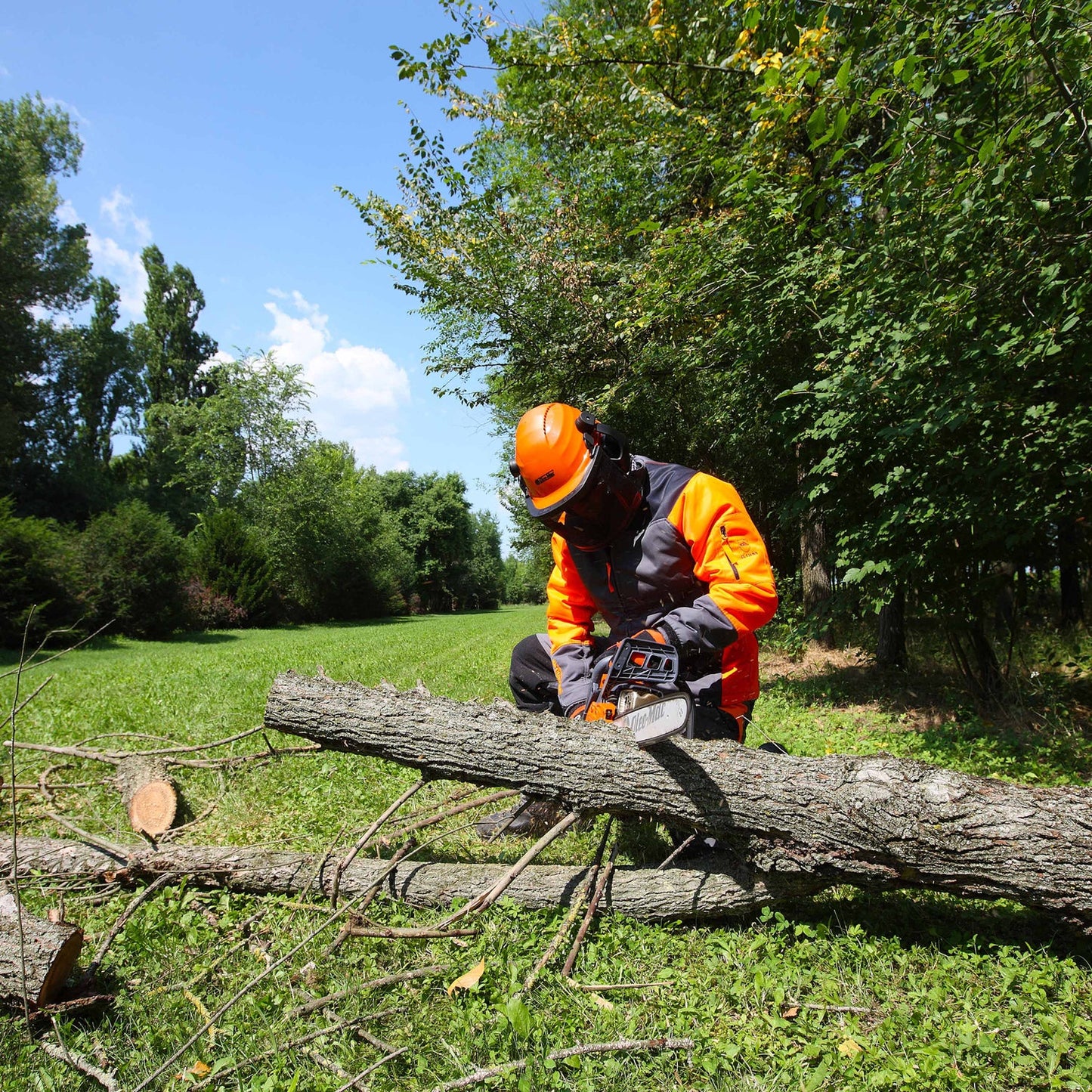 GS 451 ÉDITION 50 ANS - ARG Motoculture services