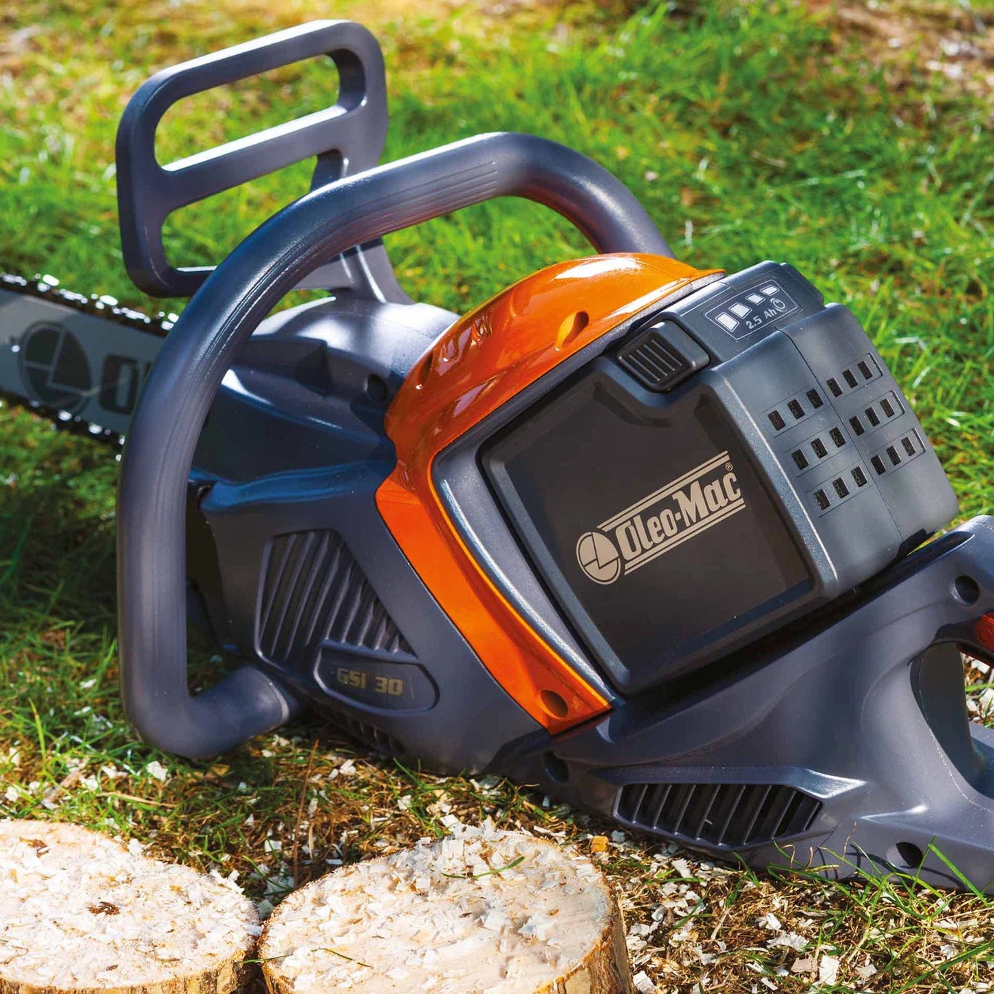 GSI 30 - ARG Motoculture services