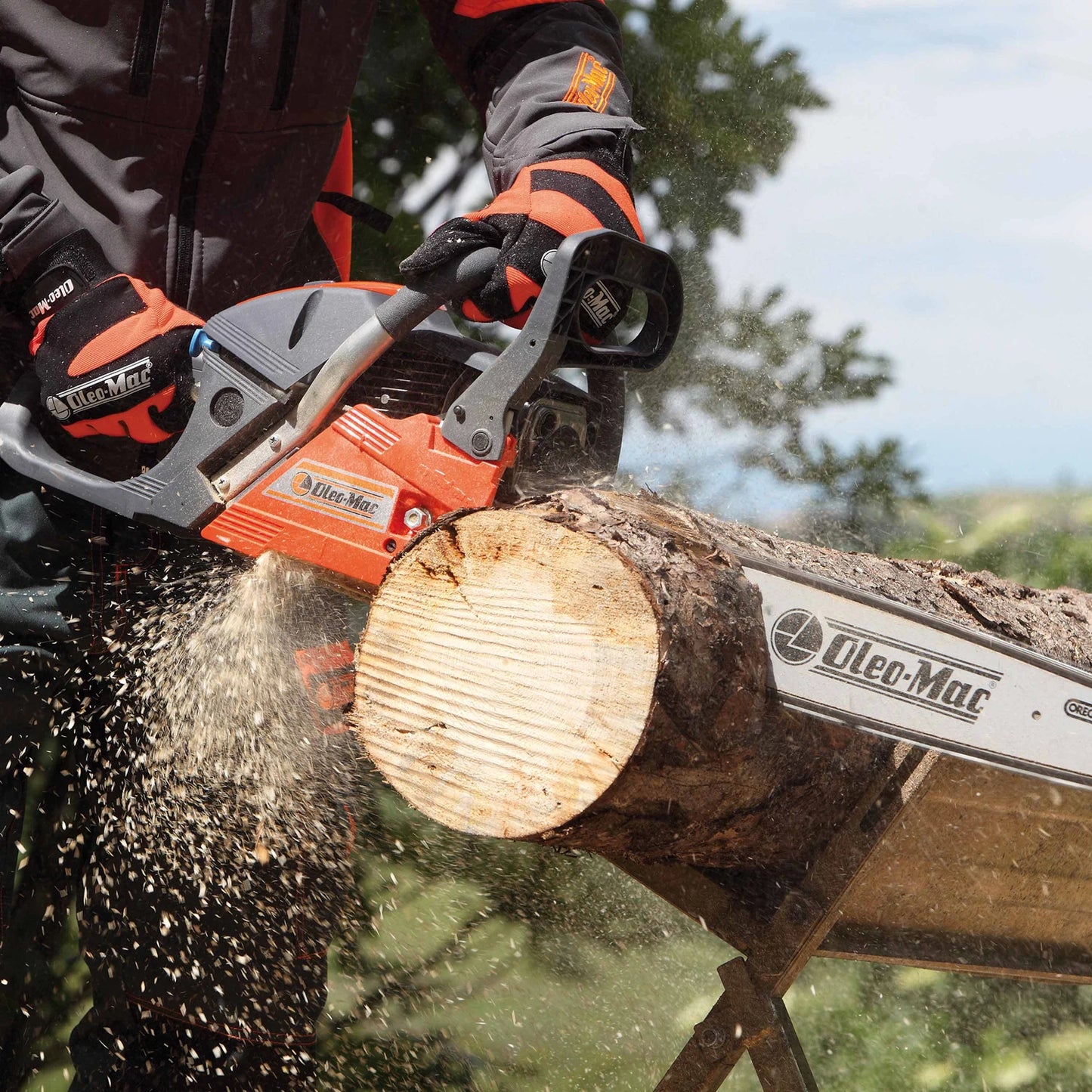 GSH 560 - ARG Motoculture services