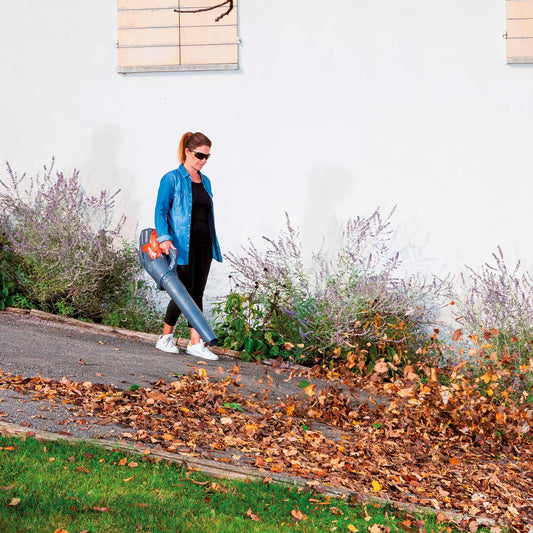 KIT BVI 60 BOOST + 1 BATTERIE + 1 CHARGEUR - ARG Motoculture services