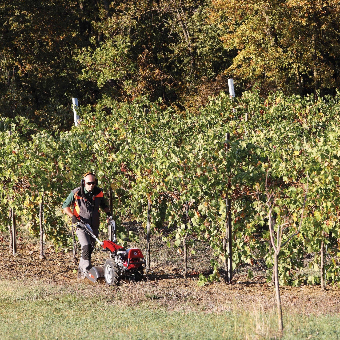 KAM 7 S / GX 270 - ARG Motoculture services