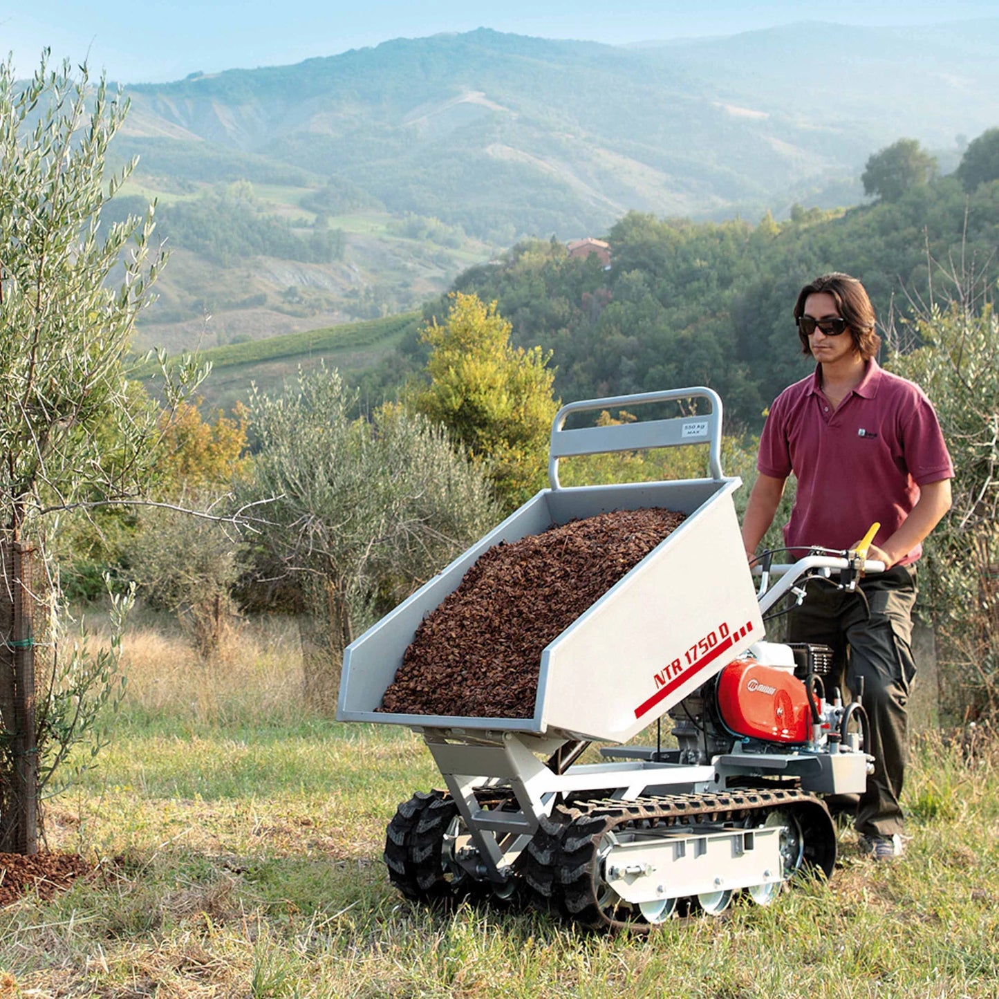 NTR 1750 D BENNE DUMPER - ARG Motoculture services