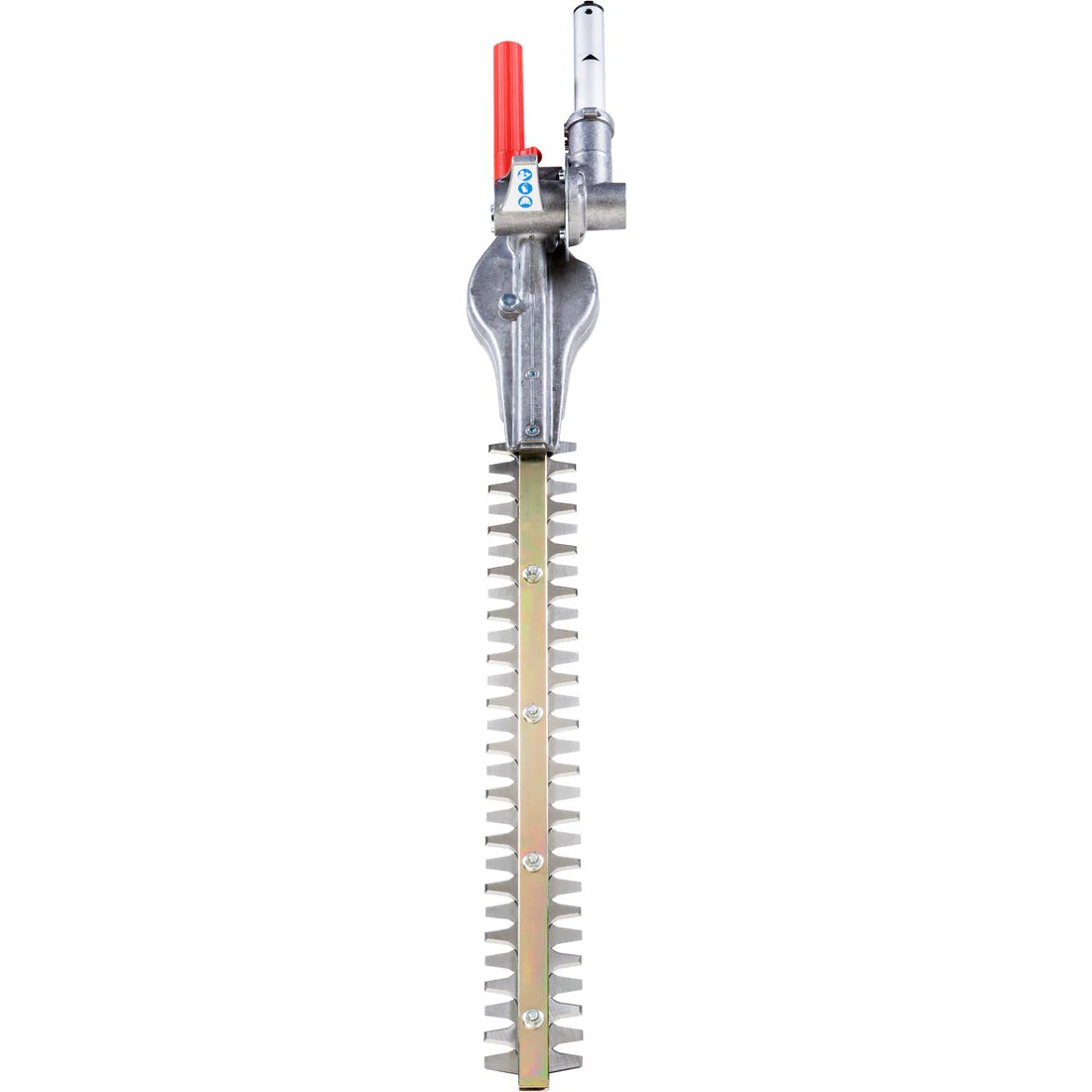 Outil taille-haie BC 241 D / BC 300 D & BCi 530 D - 56V