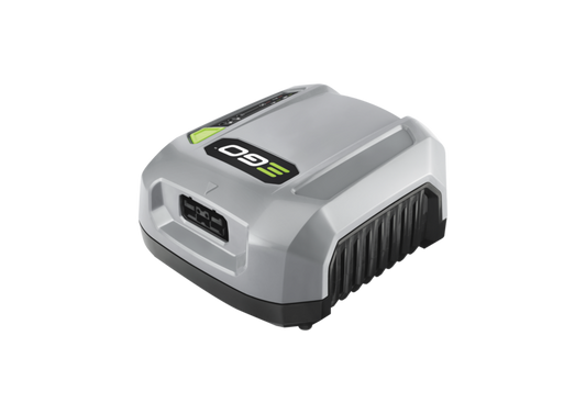 CHX5500E
CHARGEUR PRO X EGO